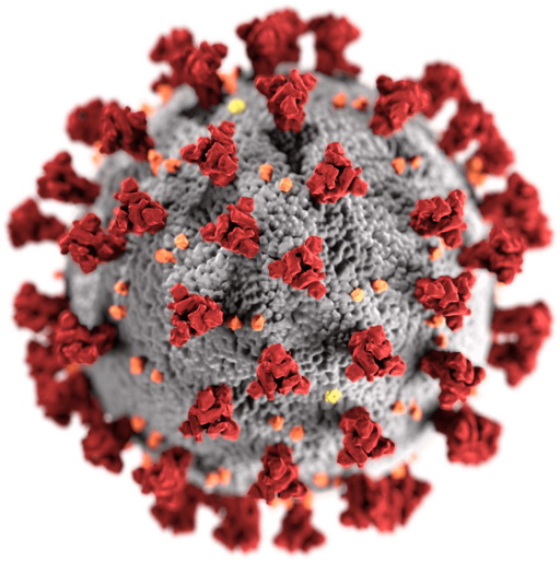 Corona-Virus 2020 (Quelle CDC, Atlanta)